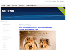 Tablet Screenshot of niksend.com